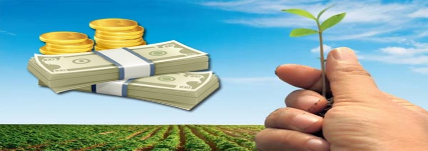 Tarımsal üretimde düşük faizli kredi için yeni imkanlar