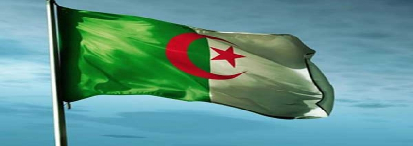 Cezayir'de ekonomik kriz gazete basımını durdurdu