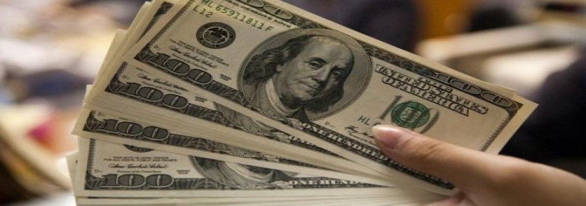 Merkez'in yıl sonu dolar beklentisi 4,83
