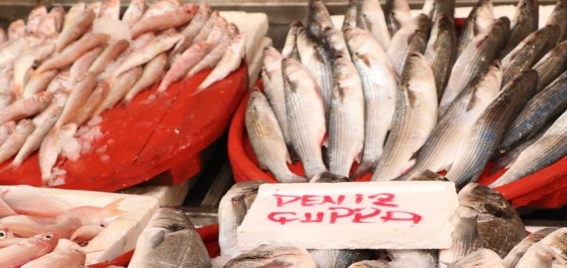 Balık tezgâhlarındaki bolluk fiyatlara yansıdı