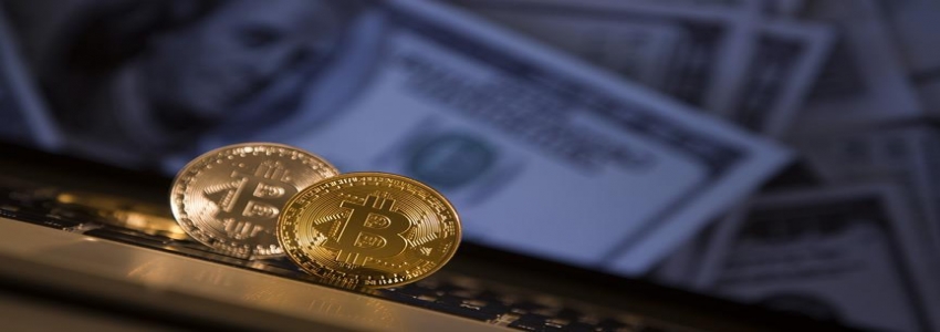 Girişimciler en çok dolar, altın ve bitcoin’i merak ediyor