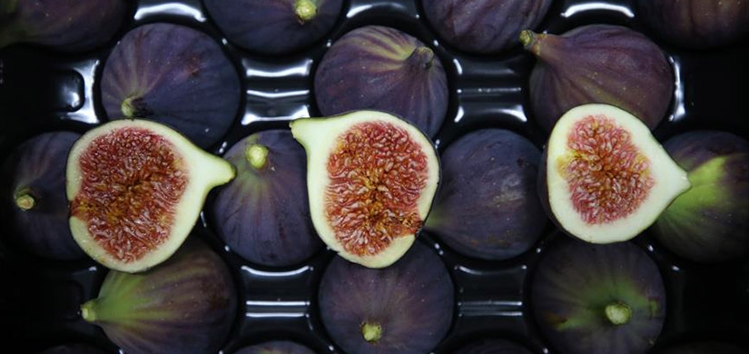 Bursa’nın inciri 42 ülkede ağızları tatlandırdı