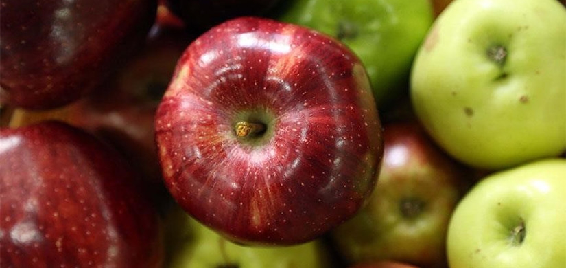En güzel elmalar ihraç ediliyor bize kalmıyor