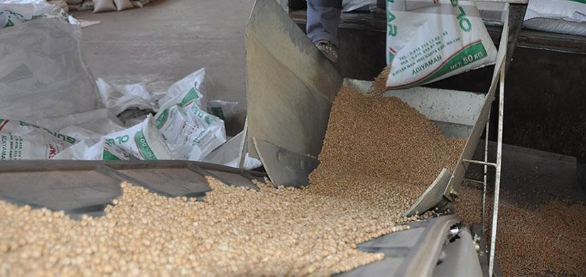 Adıyaman'dan İran'a sertifikalı tohum ihracı