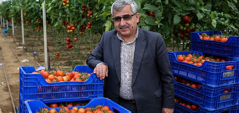 Antalya, tanzim satışa 3 günde bin ton sebze gönderdi