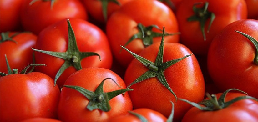 Yurt dışından domatese çok ciddi talep var