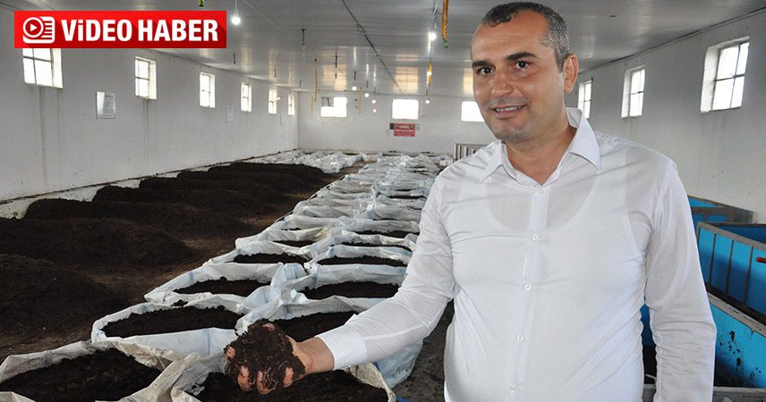 Solucan gübresi üreticileri ihracata hazırlanıyor