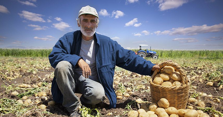 Çiftçilere 284 milyon liralık destek