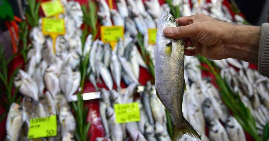 Yeni balıkçılık kanunu 2020'de sektörü yeniden yapılandıracak