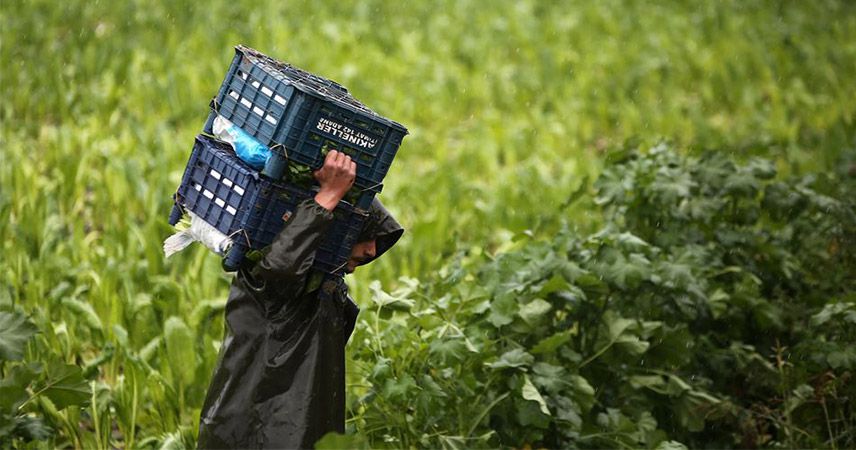 Bayraktar: 2019, çiftçiler için zor bir yıl oldu