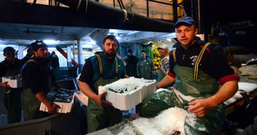 Karadeniz'de hamsi bereketi yaşanınca fiyatlar ucuzladı