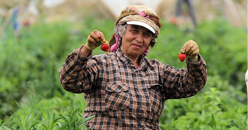 Tarım-ÜFE, yıllık yüzde 16,07, aylık yüzde 2,17 arttı