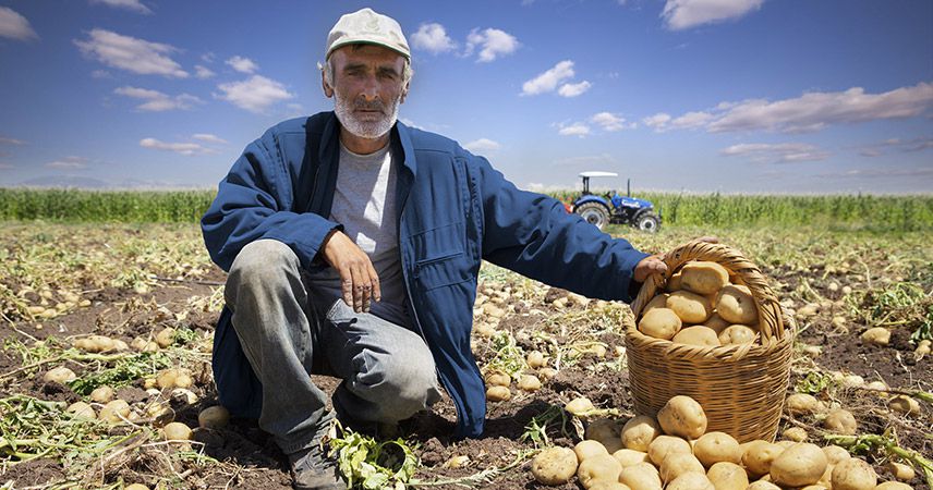 Elazığ ve Malatya'daki çiftçilere tarımsal destekler bugün veriliyor