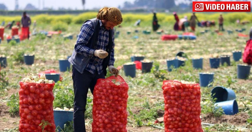 Adana’da çiftçilere sokağa çıkma yasağı yok