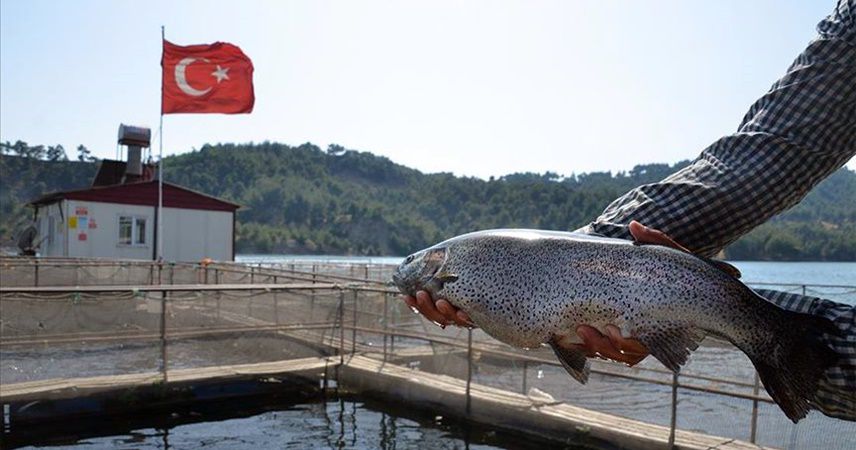 Kahramanmaraş'ın denizi yokken 25 milyon dolarlık balık ihraç ediyor