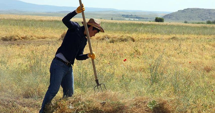 Tarıma dayalı ekonomik yatırımlara hibe desteği geliyor