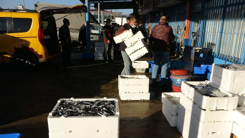 Trabzon Toptancı Balık Hali’ne gelen balık miktarındaki düşüş devam