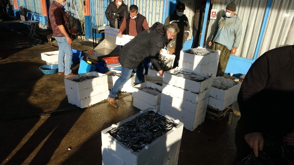 Trabzon Toptancı Balık Hali’ne gelen balık miktarındaki düşüş devam