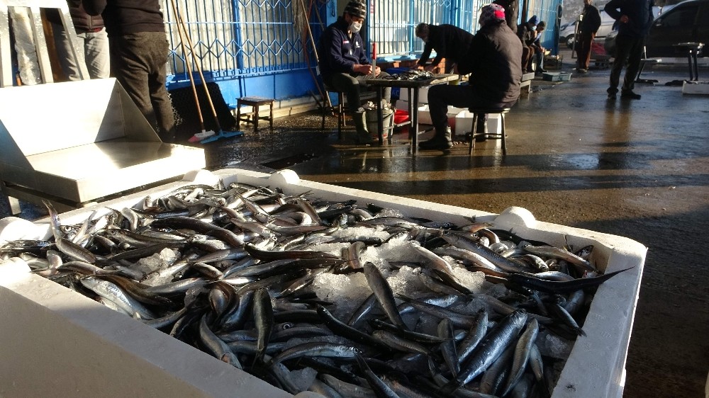 Trabzon Toptancı Balık Hali’ne gelen balık miktarındaki düşüş devam