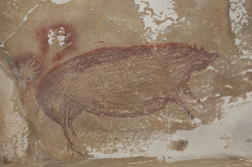 Endonezya’da dünyanın en eski mağara çizimi keşfedildi