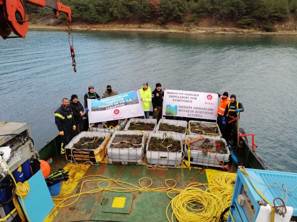 BOTAŞ’tan Saros Körfezi’nde gerçekleştirdiği proje alanına 100 bin ağaç