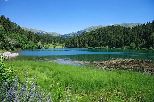 Turizm açısından yedi aylık rakamların son derece olumlu olduğunu, tablonun bekledikleri gibi şekillendiğini belirten Osman Ayık, sezon sonunda turizm gelirleri ve turist sayısında rekorların geleceğini öngördüklerini belirtti.