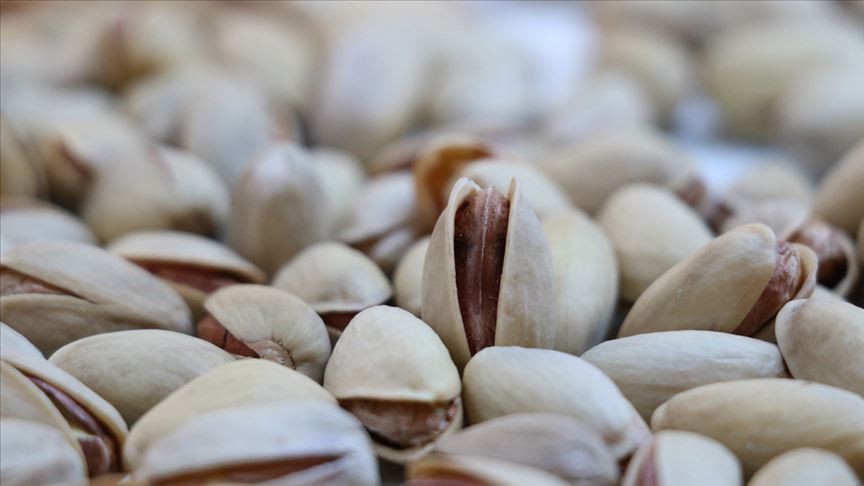 Öte yandan dünya üzerinde gerçekleşen çeşitli gösterilere ve fuarlara katılıp, Türk mutfağına ilgi çekiliyor. Bir grup, yurt dışına gastronomi tırı çıkartıyor.