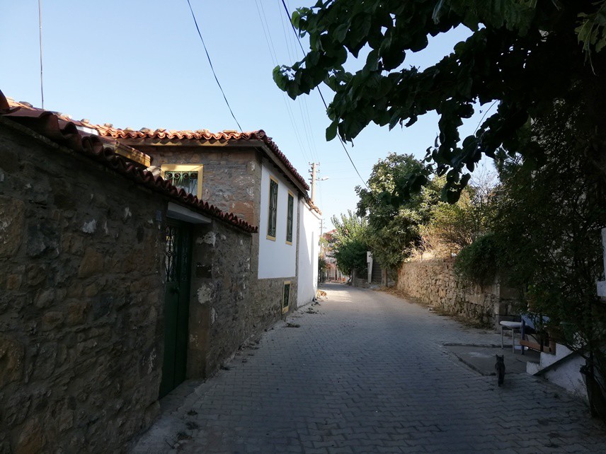 HAVAALANI BİLE VAR
Adada bir devlet hastanesi, bir cezaevi, askeriye, eski ve kullanılmayan bir hava alanı var.