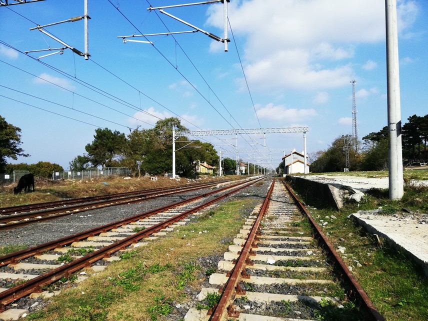 SİNEKLİ KÖYÜNDE İKİ MESİRE YERİ VAR
Bu cennet köşelerden birisi de Sinekli köyünün mesire yeri. Aslında köyün iki piknik alanı var. İkisi de göletlerin etrafına yapılanmış. Birisi bizim gezdiğimiz “Sinekli köyü Mesire Yeri”. Diğerinin adı ise “Çayırdere Göleti”. Buraları çevre ilçelerce pek bilinmiyor olsa da Silivrililerin sık sık uğradıkları özel noktalar.
