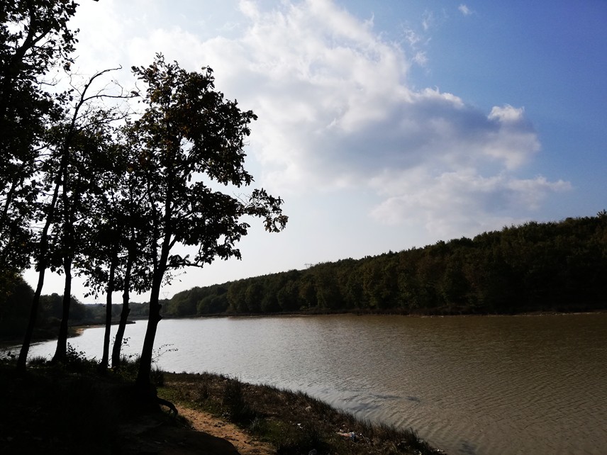 BALIK DA TUTULUYOR, SALINCAK DA VARGölde balık tutanlar, ailesi ile piknik yapanlar, sohbet eden gençler, bir masanın üzerinde oturarak dinlenen avcılar ve onların av köpeklerini görüyoruz. Çocuklar için kurulan salıncak ve tahterevalli dikkat çekiyor.