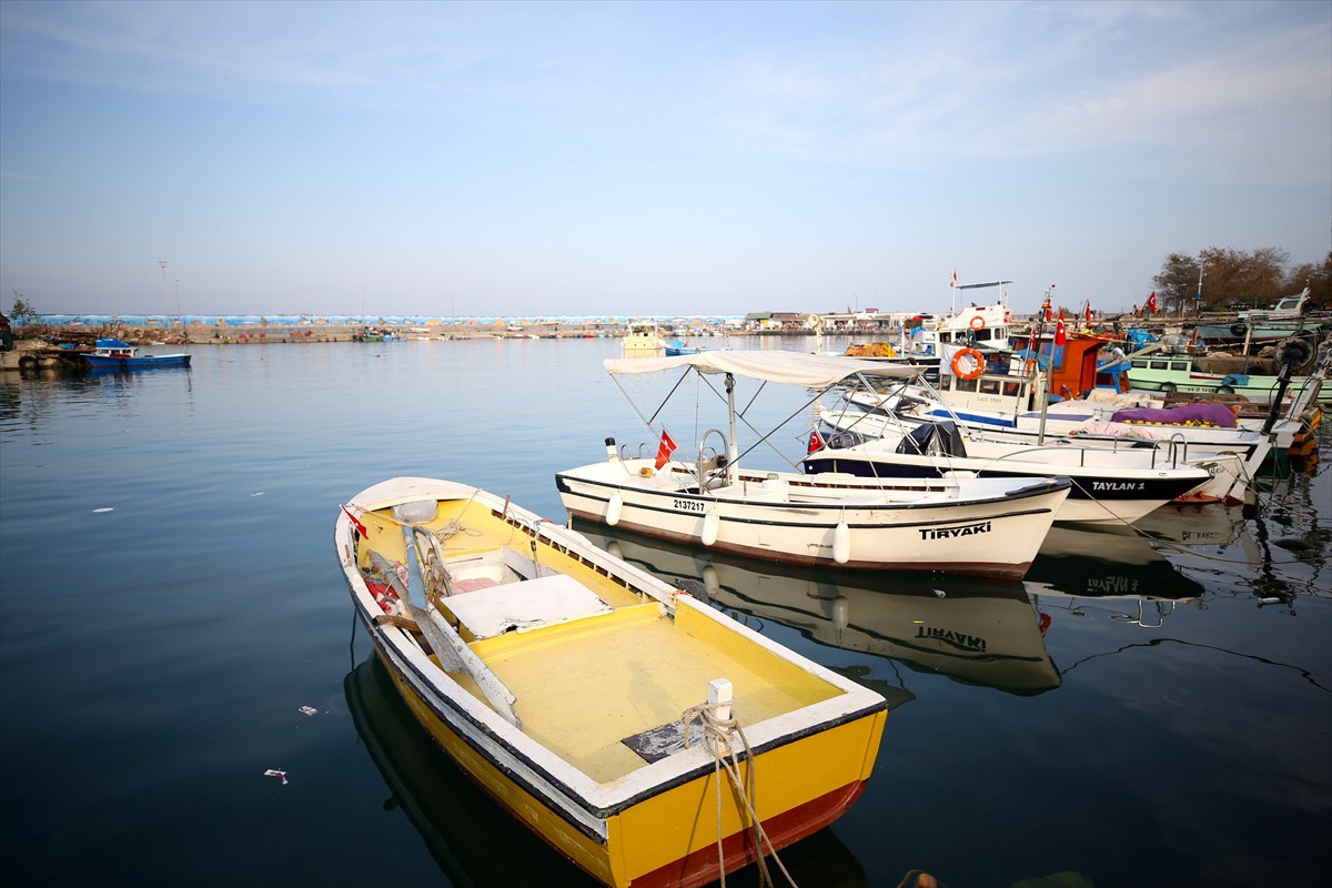 Akçakoca Su Ürünleri Kooperatifi Başkanı Mustafa Karakaş, yaptığı açıklamada, Batı Karadeniz'de bu yıl hamsi dışında az miktarda mezgit ve barbun avlandığını, bundan sonraki süreçte de bu avcılığın az da olsa devam edeceğini umduklarını anlattı.