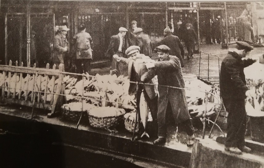 BİN TON TORİK TUTULDU / 1 Ocak 1956 tarihinde İstanbul’da son bir ay içinde yaklaşık 4 bin ton torik tutulduğu bildiriliyor. Balık akını son yıllarda şehir halkının en önemli şikayet konularından biri olan et fiyatlarının artışını, bir müddet için de olsa durdurmuş. Ve halka bol bol balık yeme imkanı sağlamış. Hatta tutulan balıkların bir kısmı yoksul halka bedava olarak dağıtılmış.
İskelede balıkçılar torik akınının keyfini çıkartıyor.