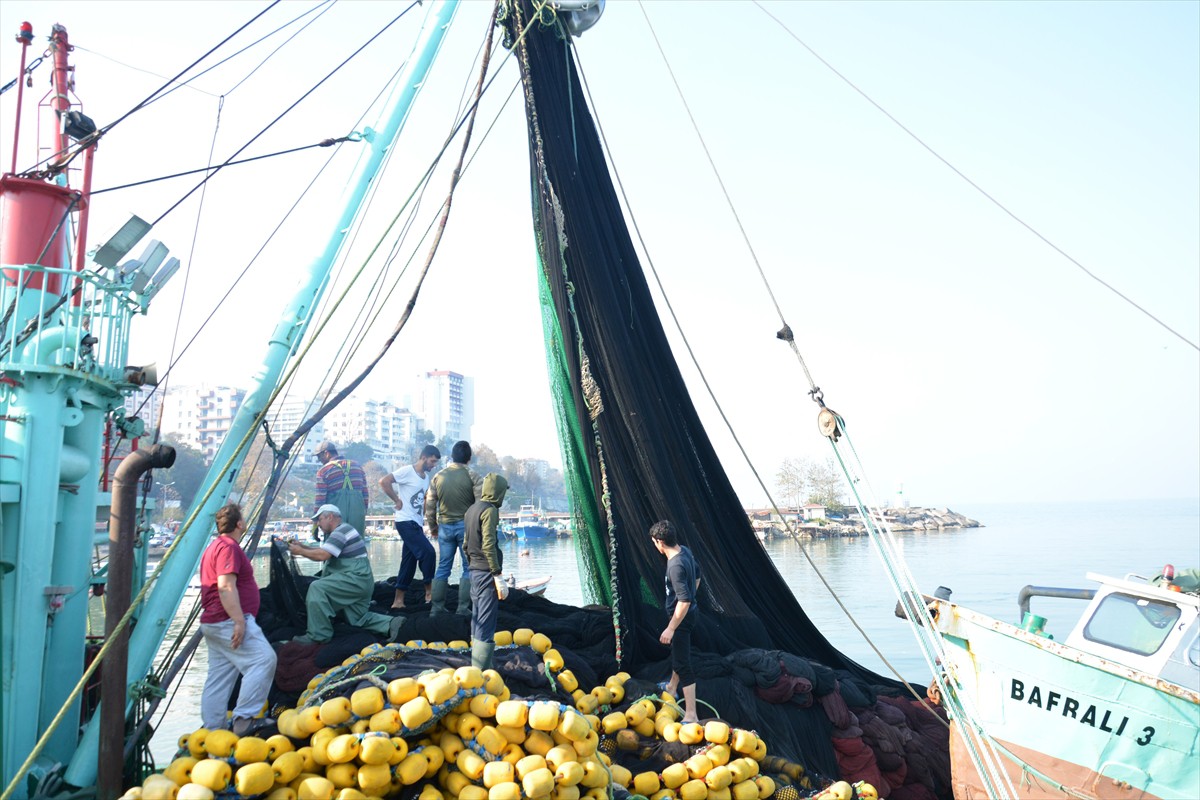 Doğu Karadeniz'den de yılın ocak-kasım döneminde 5 bin 491 tonluk su ürünleri ve mamulleri ihracatından 31 milyon 60 bin dolar gelir elde edildi. Bölgeden yapılan su ürünleri ihracatı da geçen yılın aynı dönemine göre miktarda yüzde 117, değerde de yüzde 118 arttı. Doğu Karadeniz'den yapılan ihracatta da Rusya, Vietnam ve Japonya öne çıkan ilk üç ülke oldu.