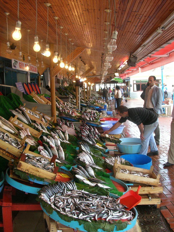 Tarım ve Orman Bakanı Pakdemirli, balıkçılık filosunun yüzde 78'ini destekleme kapsamına aldıklarını belirtti. Pakdemirli, şunları söyledi: 