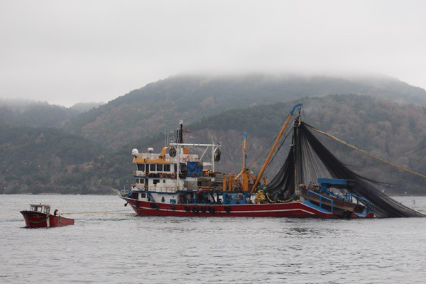 Dünyadaki balık üretiminde 30'lu sıralardayız, Avrupa'da ise 6’ıncı sıradayız.  Türkiye'nin su ürünleri üretiminde dünya klasmanında 228 ülke arasında 33’üncü sırada. Yetiştiricilikte 180 ülke arasında 24’üncü olduğunu kaydediliyor.