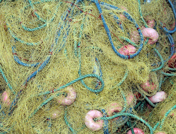 2019 / Balık avcılığı yıllık yüzde 2,3 gibi bir azaldı. Yılda 450-500 bin ton balık tutuluyor. Bunun yaklaşık 240 bin tonu hamsi, 20 bin tonu kefal, 20 bin tonu sardalya, 15 bin tona yakını ise istavritten oluşmaktadır. Tatlı su ürünleri üretimi ise 50 bin ton civarındadır. Türkiye’deki balık piyasasının toplam büyüklüğü 5 milyar dolara ulaşıyor.