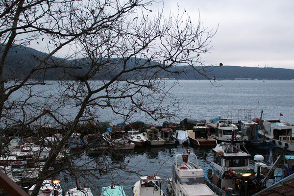Çok fazla potansiyeli olmasına rağmen, su ürünleri ne yazık ki Türkiye'nin ekonomisinde fazla yer kaplamıyor. Buna karşın 100 bin aile geçimini balıkçılıktan sağlıyor. Yani kırsal nüfusun yüzde 3'ü balıkçılıktan geçiniyor diyebiliriz.