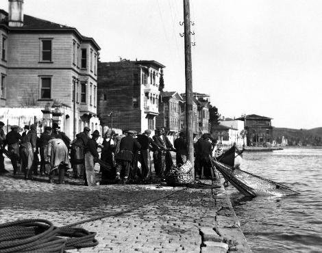 1909’dan 1923’e kadar olan tablolarda da İstanbul Balıkhanesine bir yıl içinde “denizden çıkarılıp” getirilen balıklar listesinde orkinos adı yazılıydı.