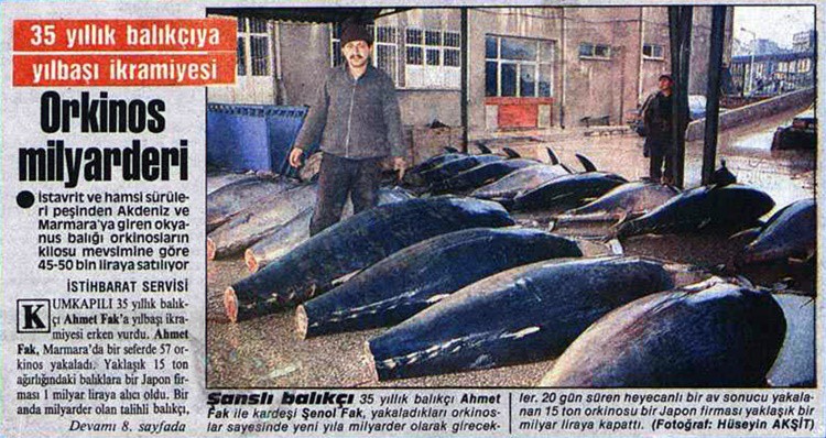 20 GÜN SÜREN AVDA 15 TON ORKİNOS TUTAN BALIKÇI BİR YILBAŞI İKRAMİYESİ KADAR PARA KAZANDI25 Aralık 1987 tarihli bir habere göre ise Kumkapılı 35 yıllık balıkçı Ahmet Fak, bir seferde tuttuğu 57 orkinostan bir yılbaşı ikramiyesi kadar kazanç sağladı. Yaklaşık 15 ton tutan balıkları bir Japon firmasına 1 milyar liraya satan balıkçı bir anda milyarder oldu.