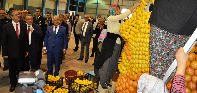 Mersin'de Narenciye Festivali heyecanı