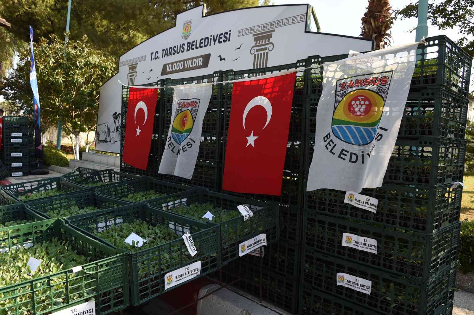 Tarsus Belediyesi, çiftçilere 500 bin adet karnabahar, brokoli ve marul fidesi dağıttı