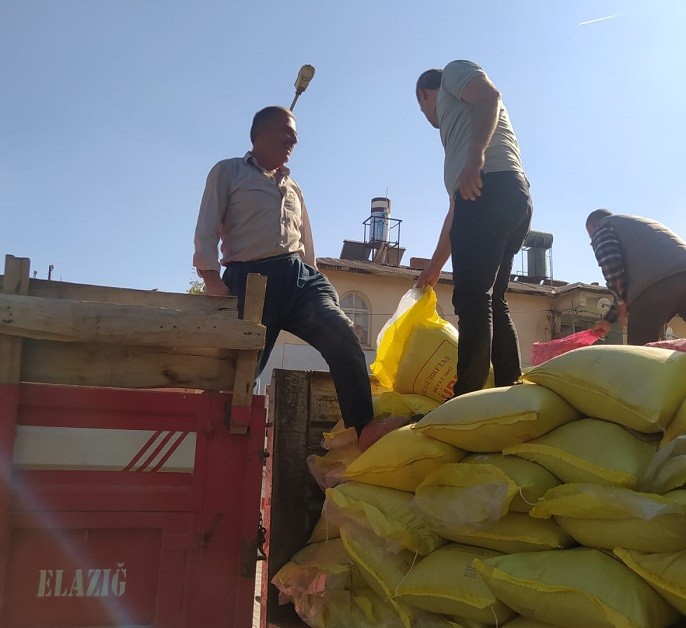 Elazığ’da çiftçilere yüzde 75 hibeli sarımsak tohumu dağıtıldı