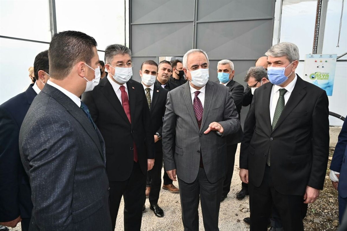 Bakan Yardımcısı Tunç, OSB’de kurulan muz serasının açılışını yaptı