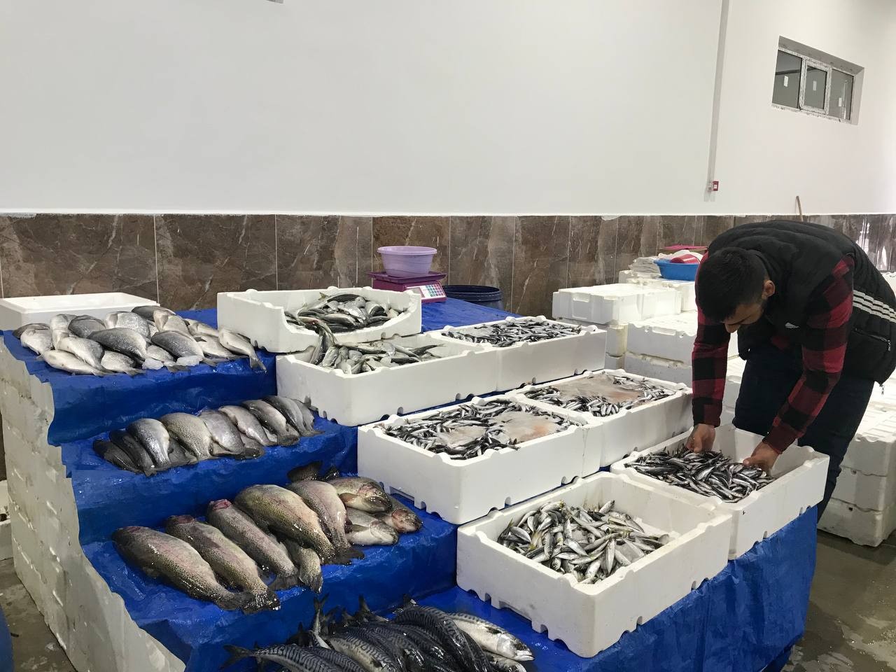 Balık satışları arttı, esnafın yüzü güldü