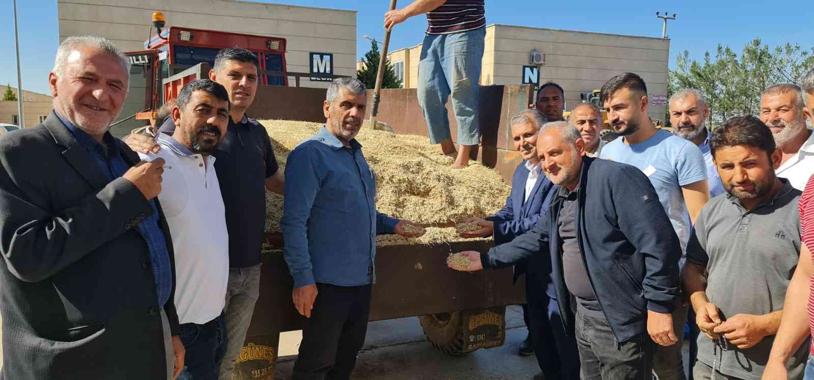 Mardin’de yılın ilk arpa hasadı başladı, çiftçiye altın hediye edildi